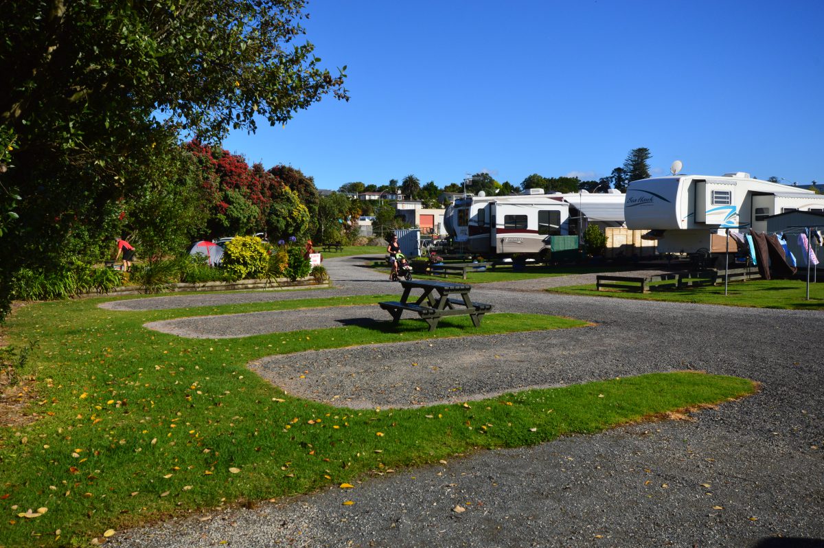 Gallery Tauranga Tourist Park