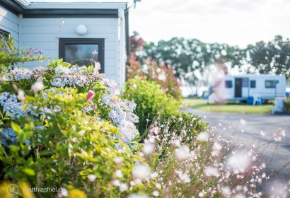 Tauranga Tourist Park