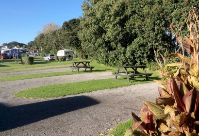 Tauranga Tourist Park