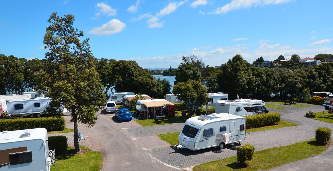 tauranga tourist park